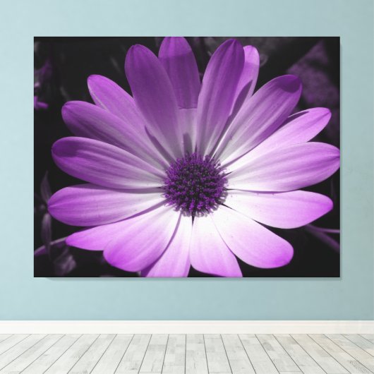 Lila Daisy Blume Canvas Print Leinwanddruck (Insitu (Holzboden))