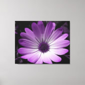 Lila Daisy Blume Canvas Print Leinwanddruck (Vorderseite)