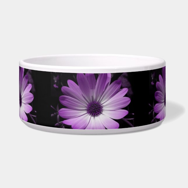 Lila Daisy Blume Dog Bowl Napf (Vorderseite)