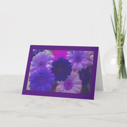Lila Daisy Blume Foto Gruß oder Mitteilungskarten (Vorderseite)