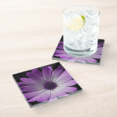 Lila Daisy Blume Glass Untersetzer (Schrägansicht)