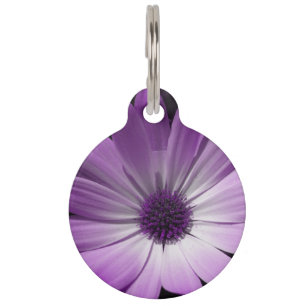 Lila Daisy Blume Hund Tag Haustiermarke