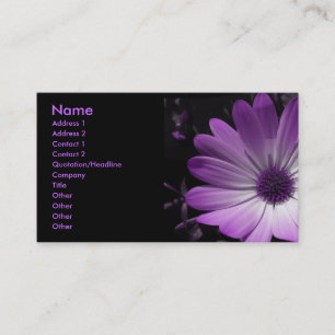 Lila Daisy-Blume - individuelle Visitenkarte