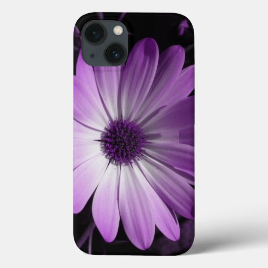 Lila Daisy Blume iPhone Case (Rückseite)