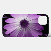 Lila Daisy Blume iPhone Case (Rückseite (Horizontal))
