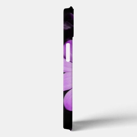 Lila Daisy Blume iPhone Case (Rückseite / Rechts)