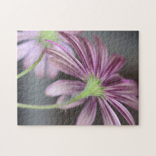 Lila Daisy-Blume - Naturfotografie Puzzle