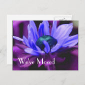 Lila Daisy Blume Neue Adresse Ankündigungspostkarte (Vorne/Hinten)