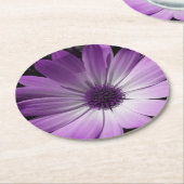 Lila Daisy Blume Paper Untersetzer (Angewinkelt)