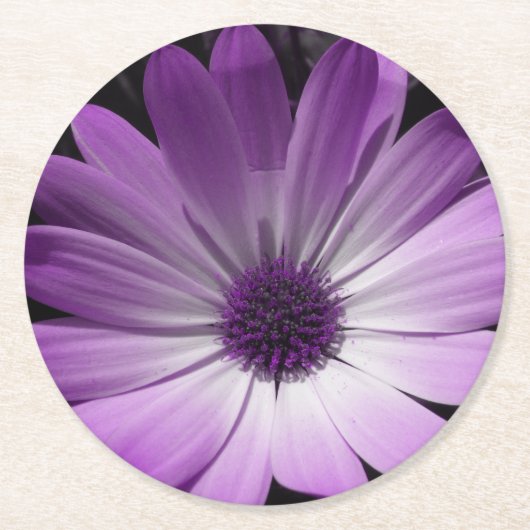 Lila Daisy Blume Paper Untersetzer (Vorderseite)