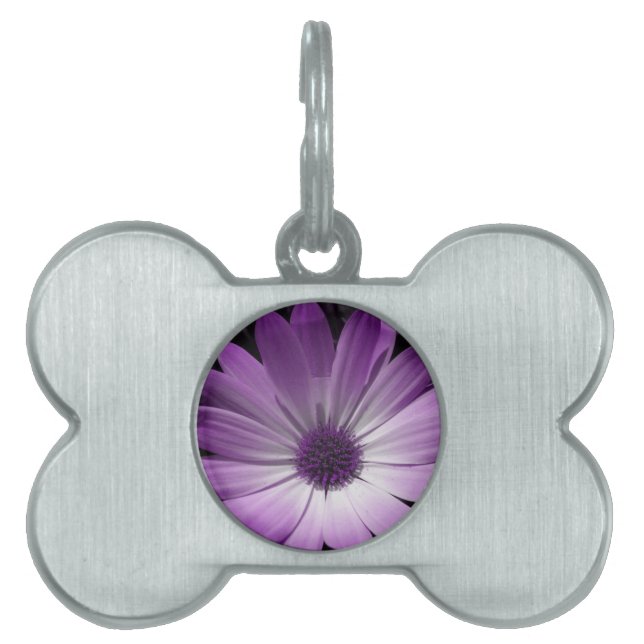 Lila Daisy Blume Pet Tag Tiermarke (Vorderseite)