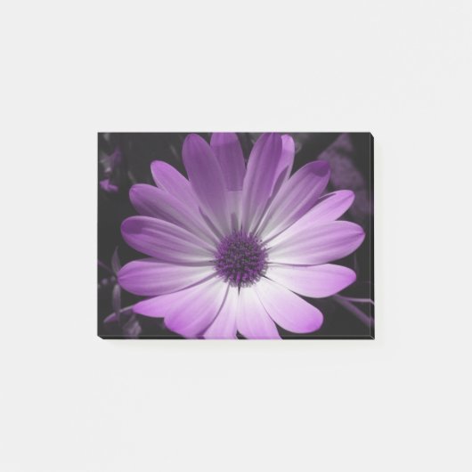 Lila Daisy Blume Post it notes Pad Post-it Klebezettel (Vorderseite)