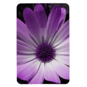 Lila Daisy Blume Premium Magnet (Vertikal)