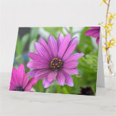 Lila Daisy Karte (Gelbe Blume)