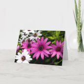 Lila Daisy Karte (Vorderseite)