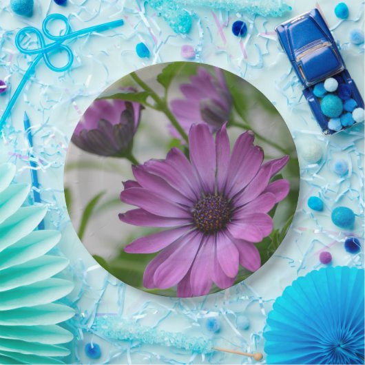 Lila Daisy Pappteller (Party)