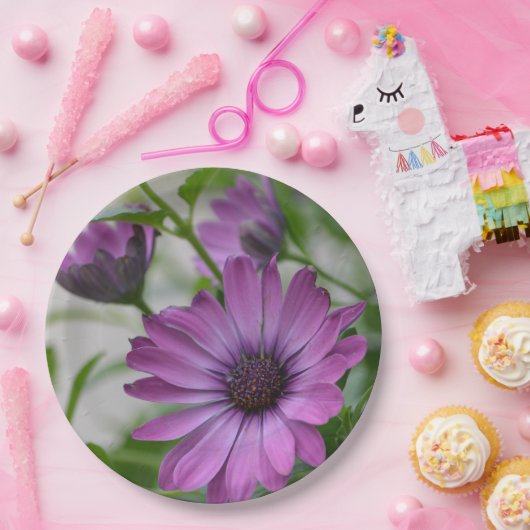Lila Daisy Pappteller (Party)