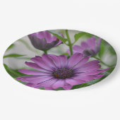 Lila Daisy Pappteller (Schrägansicht)