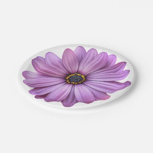 Lila Daisy Party Paper Teller (Schrägansicht)