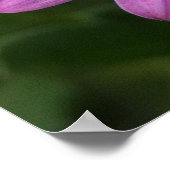 Lila Daisy Poster (Ecke)