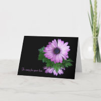 Lila Daisy Reflection Beileid