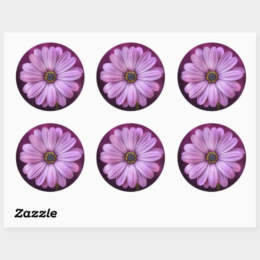 Lila Daisy Stickers (Blatt)