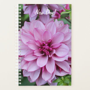 Lila Daliha Bloom Foto Planer