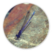 Lila Damselfly auf dem Felsen Nah nach oben  Keramikknauf (Vorderseite)