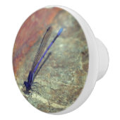 Lila Damselfly auf dem Felsen Nah nach oben  Keramikknauf (Rechts)