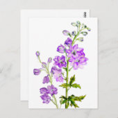 Lila Delphine in Aquarellkartons Postkarte (Vorne/Hinten)