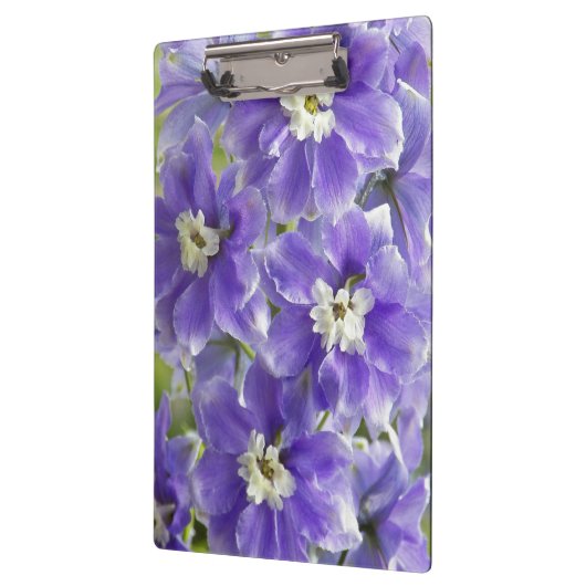 Lila Delphinium Floral Klemmbrett (Links)