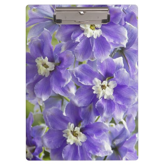 Lila Delphinium Floral Klemmbrett (Vorderseite)