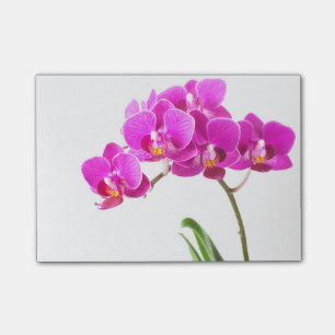 Lila Dendrobium Orchid Tropische Blume Post-it Klebezettel