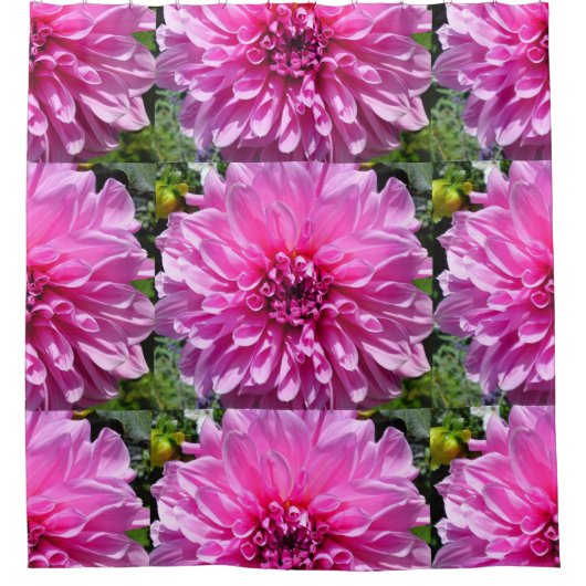 Lila Dhalia Blume Duschvorhänge Duschvorhang (Vorderseite)
