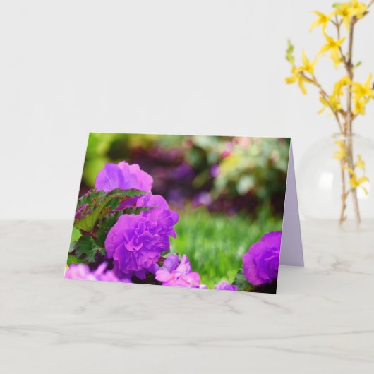 Lila Doppelwaschbegonias, unbedruckt innen Karte (Gelbe Blume)