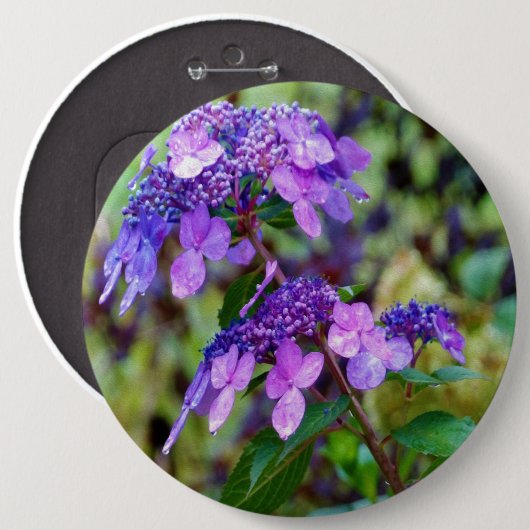 Lila Drehung und Shout Hydrangea-Blume Button (Vorne & Hinten)