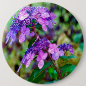 Lila Drehung und Shout Hydrangea-Blume Button (Vorderseite)
