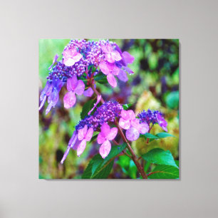 Lila Drehung und Shout Hydrangea-Blume Leinwanddruck