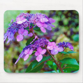 Lila Drehung und Shout Hydrangea-Blume Mousepad