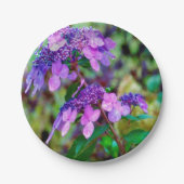 Lila Drehung und Shout Hydrangea-Blume Pappteller (Vorderseite)