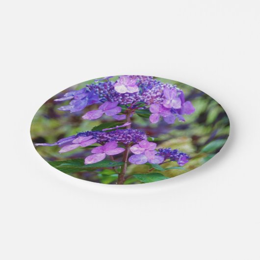 Lila Drehung und Shout Hydrangea-Blume Pappteller (Schrägansicht)