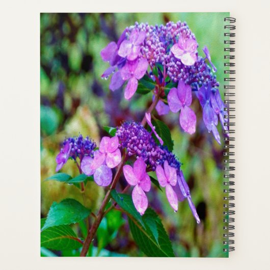 Lila Drehung und Shout Hydrangea-Blume Planer (Rückseite)