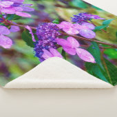 Lila Drehung und Shout Hydrangea-Blume Sherpadecke (3/4)
