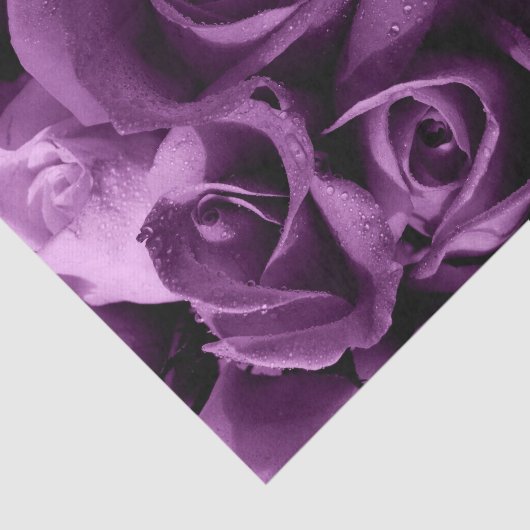 Lila Dunst-Rose - kundenspezifisches 10lb Seidenpapier (Ausschnitt)