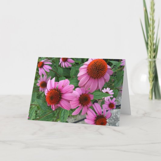 Lila Echinacea Ecclesiastes Bible Verse Geburtstag Karte (Vorderseite)
