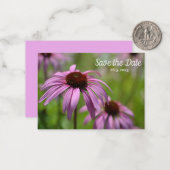 Lila Echinacea-Kone-Blume Save the Date Mitteilungskarte (Vorderseite/Rückseite Beispiel)