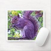 Lila Eichhörnchen Mousepad (Mit Mouse)