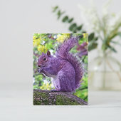Lila Eichhörnchen Postkarte (Stehend Vorderseite)