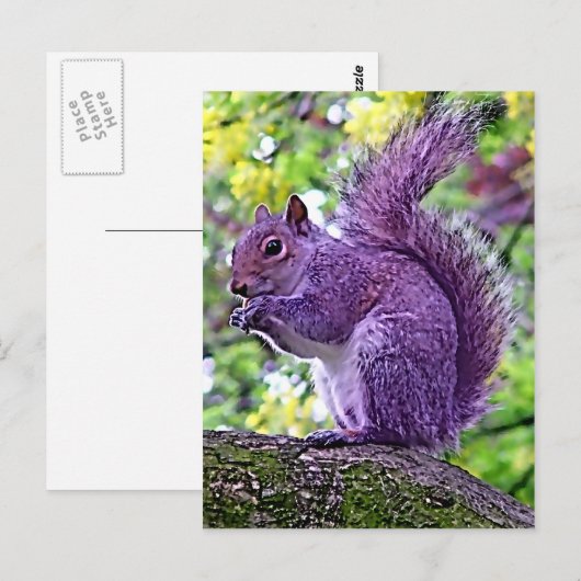 Lila Eichhörnchen Postkarte (Vorne/Hinten)