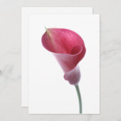 Lila Einladung der Calla Lily (Vorne/Hinten)